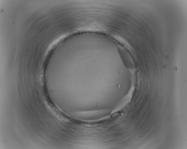 X0000083050680200702231956