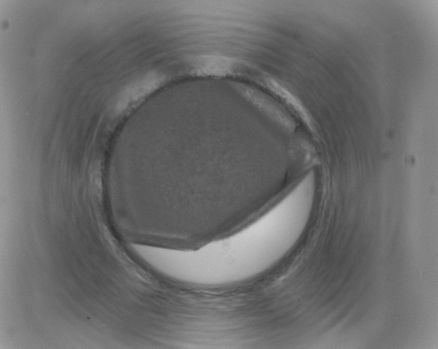 X0000083050681200702231956