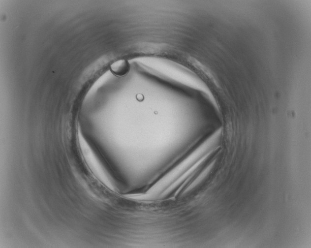 X0000083050682200702231956