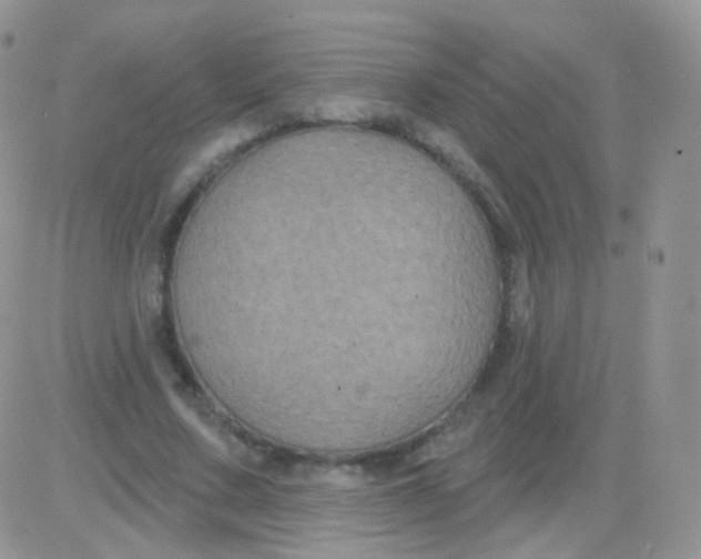 X0000083050683200702231956