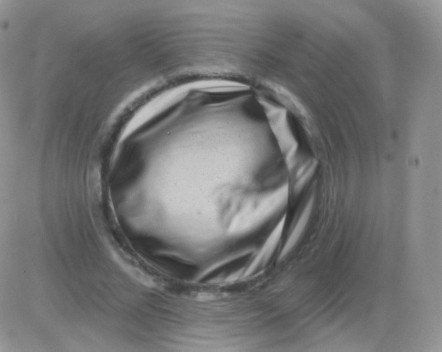 X0000083050684200702231956