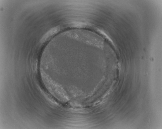 X0000083050685200702231956