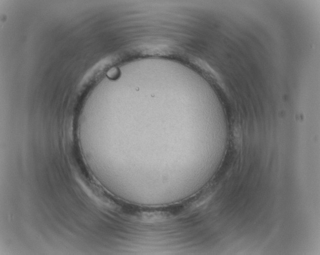 X0000083050686200702231956