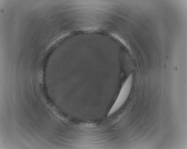 X0000083050689200702231956