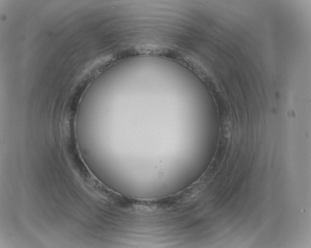 X0000083050690200702231956