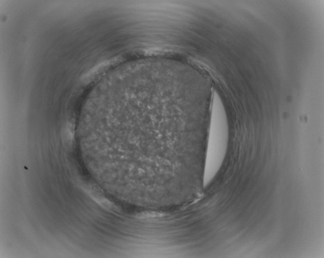 X0000083050691200702231955