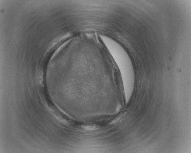 X0000083050693200702231955