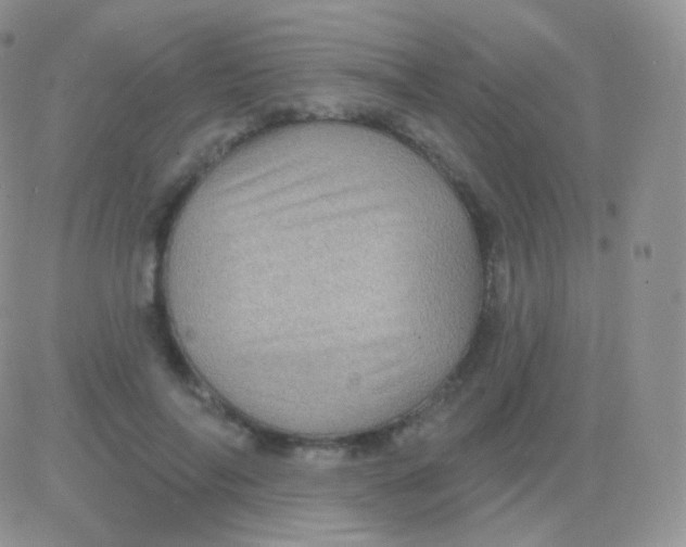 X0000083050694200702231955