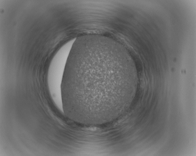 X0000083050695200702231955