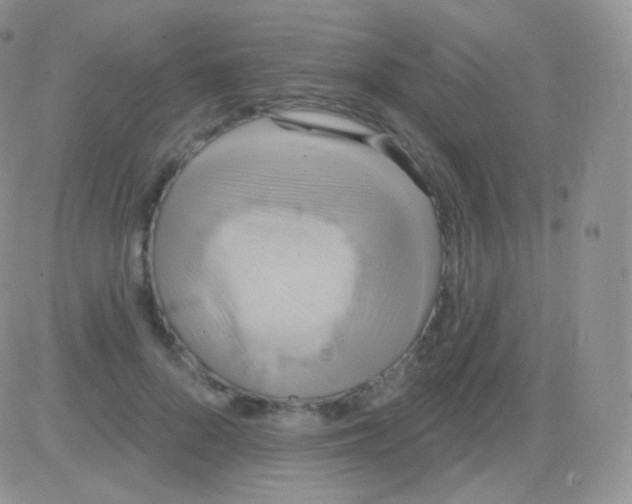 X0000083050696200702231955