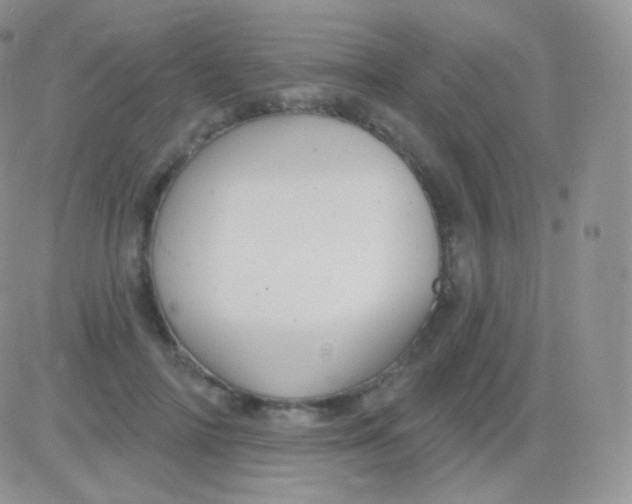 X0000083050698200702231955