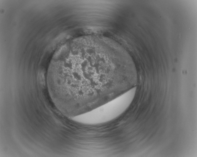 X0000083050699200702231955