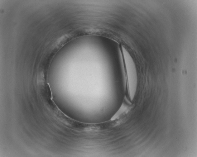 X0000083050700200702231955