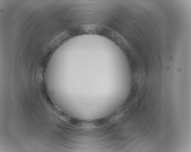 X0000083050702200702231955