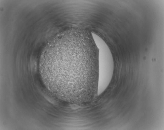 X0000083050703200702231955