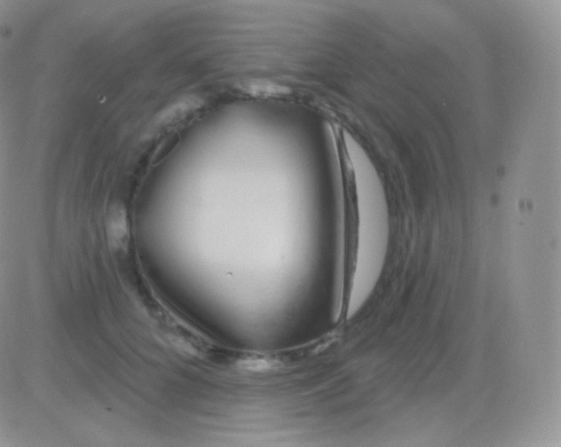 X0000083050704200702231955