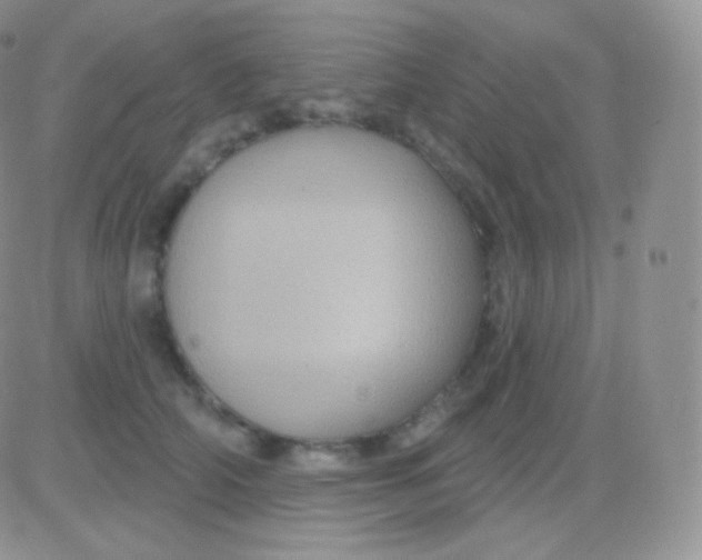 X0000083050706200702231955