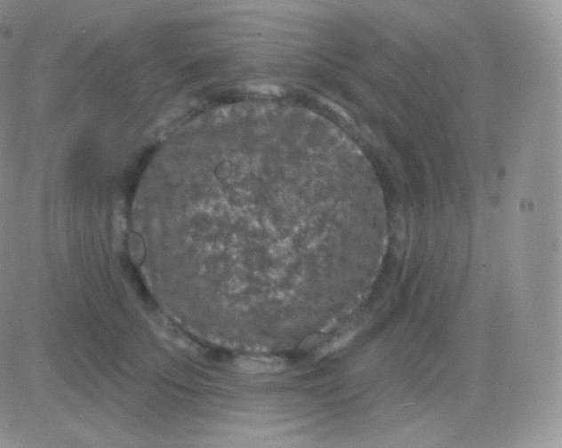 X0000083050707200702231955