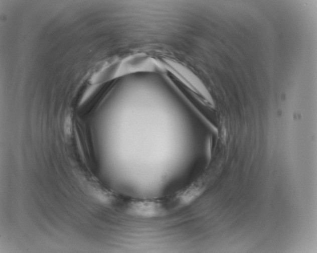 X0000083050708200702231955