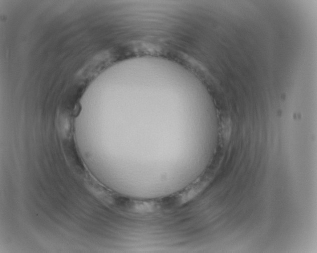 X0000083050709200702231955