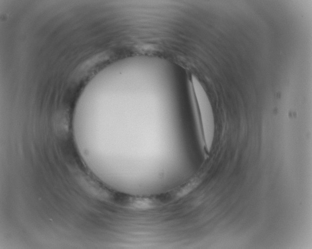 X0000083050710200702231955