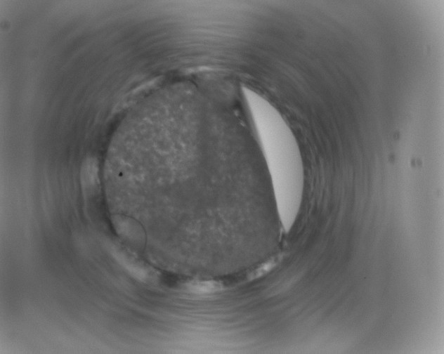 X0000083050711200702231955