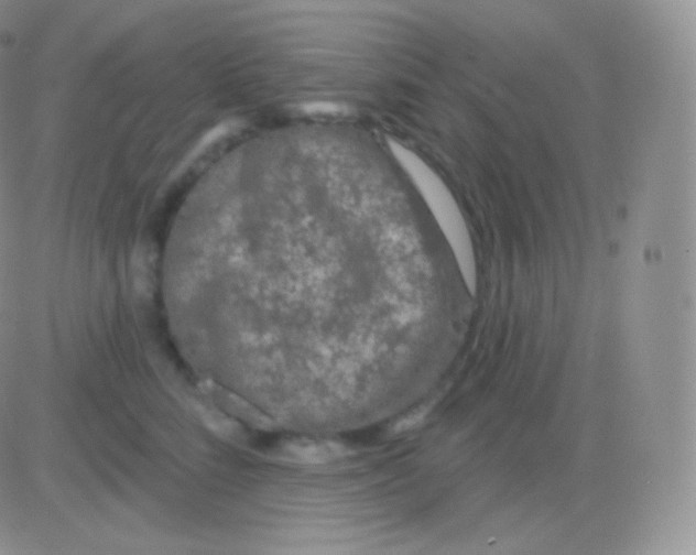 X0000083050712200702231955