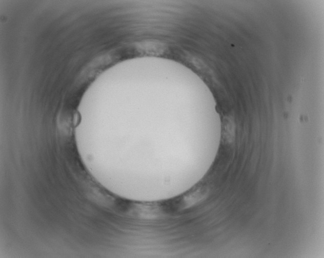 X0000083050713200702231955