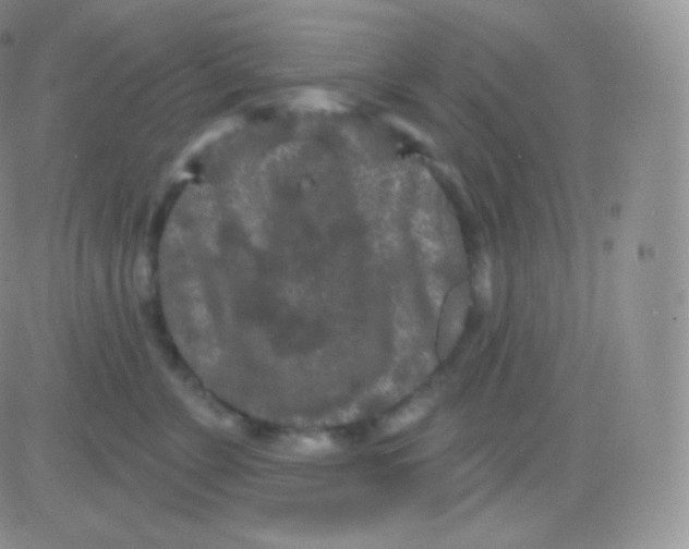 X0000083050715200702231955