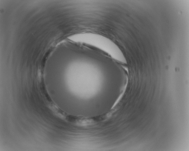 X0000083050716200702231955