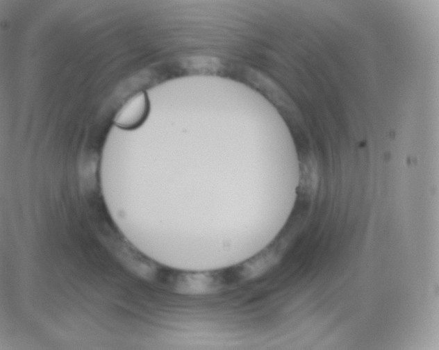 X0000083050717200702231955