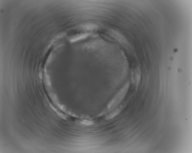 X0000083050718200702231955