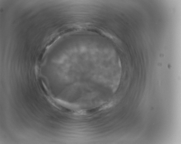 X0000083050720200702231955