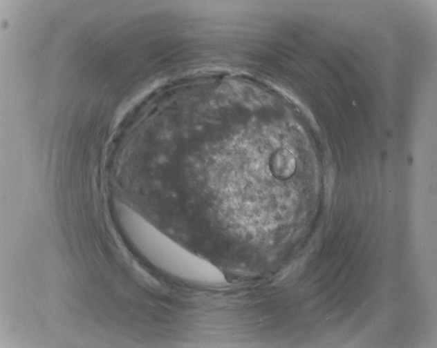 X0000083050721200702231954