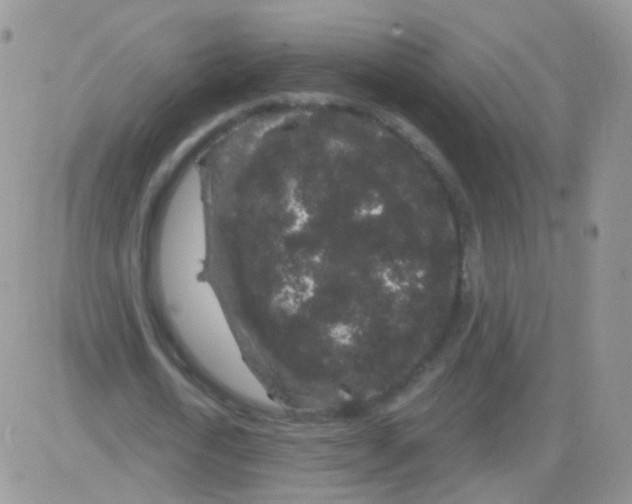 X0000083050722200702231954