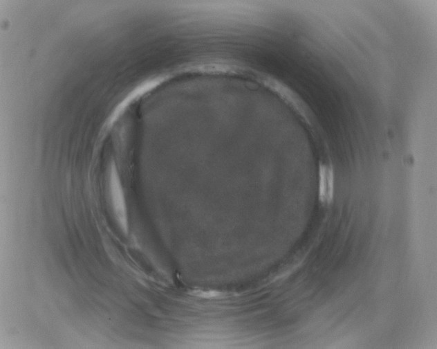 X0000083050723200702231954