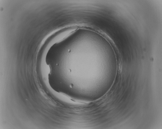 X0000083050724200702231954