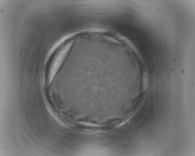 X0000083050726200702231954