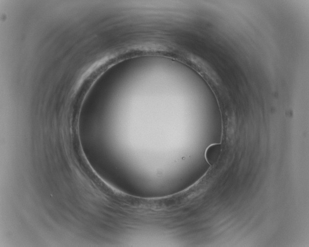 X0000083050727200702231954