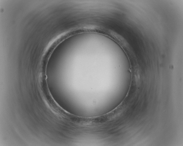 X0000083050728200702231954