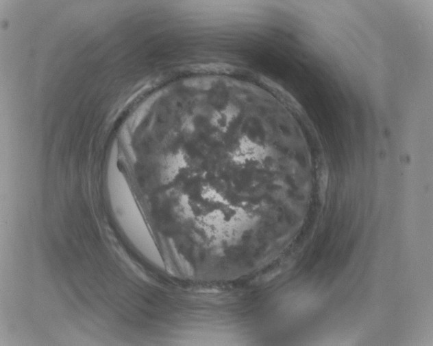 X0000083050729200702231954