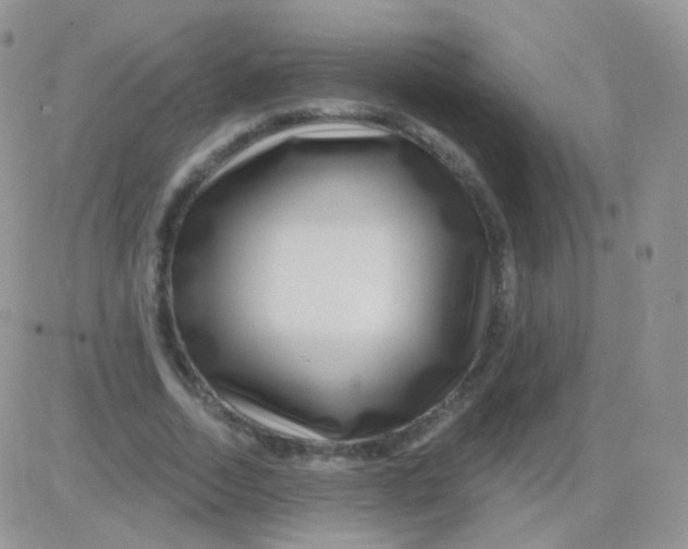 X0000083050730200702231954