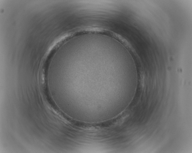 X0000083050731200702231954