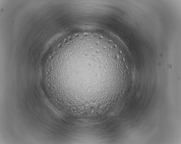 X0000083050733200702231954