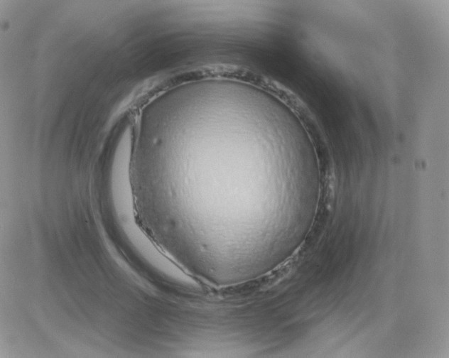 X0000083050734200702231954