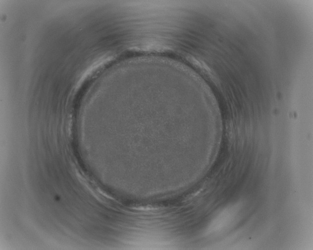 X0000083050735200702231954