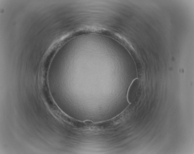 X0000083050736200702231954