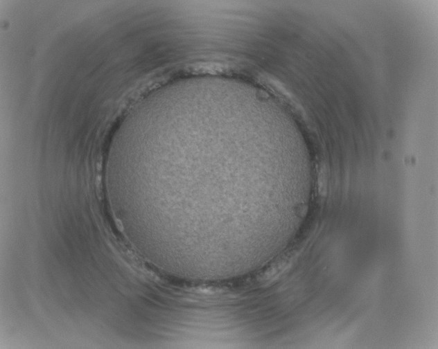 X0000083050737200702231954