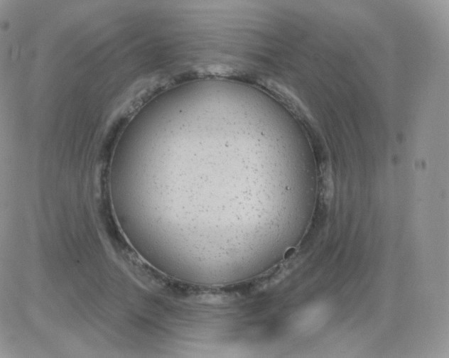 X0000083050738200702231955