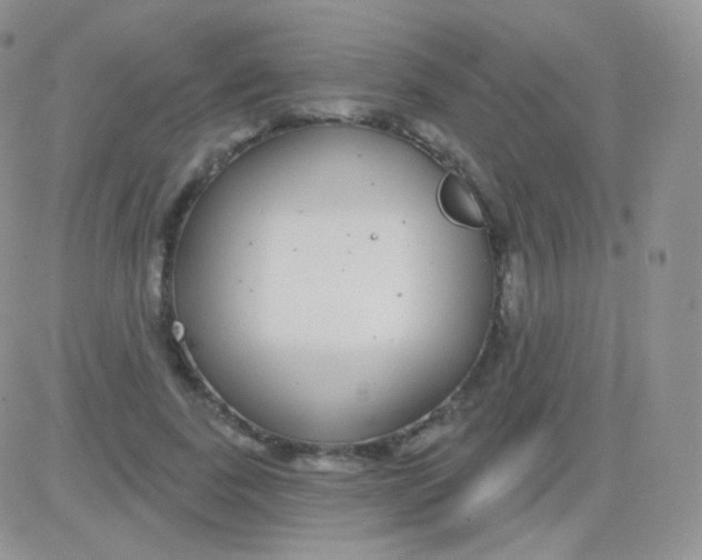 X0000083050739200702231955